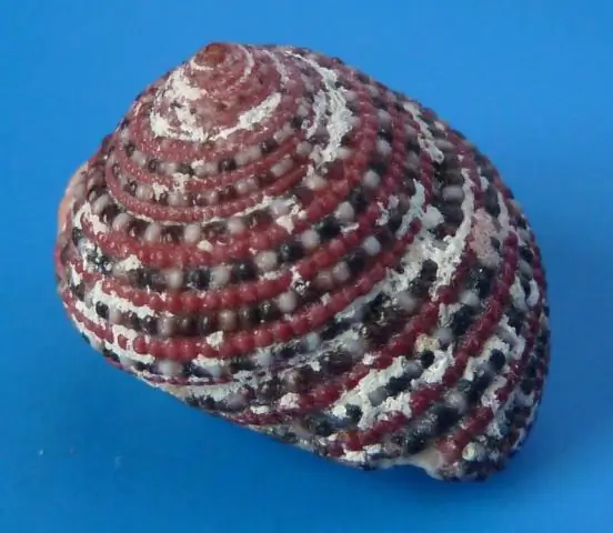 Следы «призраков» эпохи плейстоцена, обнаруженные радиолокационными технологиями