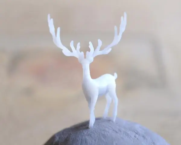 Вновь обнаруженный миниатюрный клыкастый «олень» ходит на цыпочках по прибрежным лесам Вьетнама