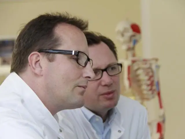 Морские кошки дают представление о территориальном поведении диких рыб