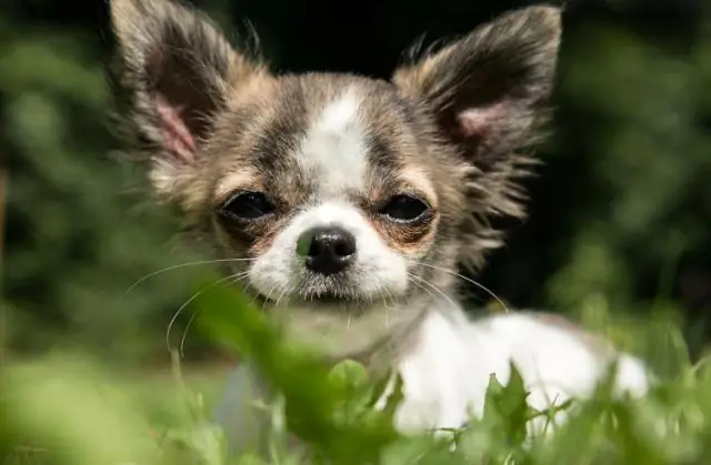 Городское развитие снижает вероятность внезапных наводнений в засушливой западной части США