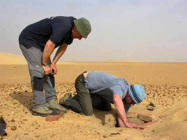Древние египтяне собирали диких птиц для жертвоприношения и мумификации: исследование ДНК опровергает идею о том, что египтяне одомашнили священного ибиса для ритуального использования
