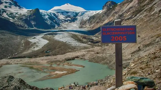 Отмирание ясеня: лучшие новости для европейских ясеней