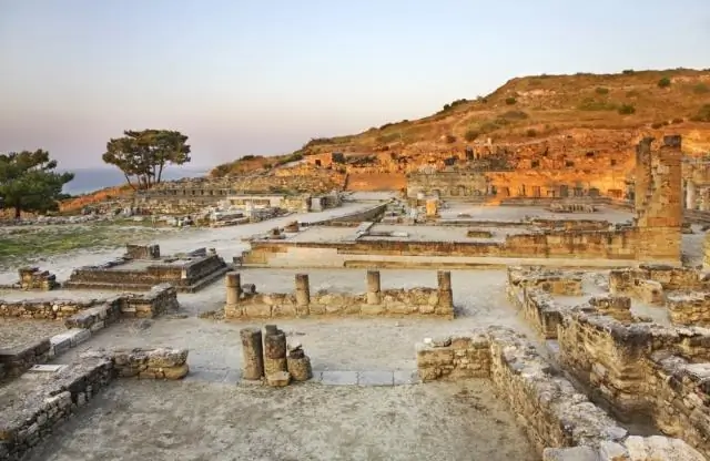 Бабочки идут разными путями, чтобы достичь одного и того же цветового узора