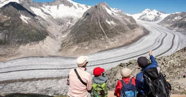 Исследователи обнаружили, что изменение климата и рост морских водорослей вызывают «неоднородный» морской пейзаж