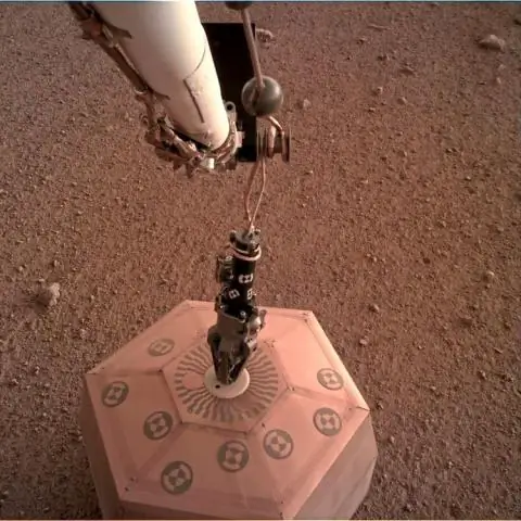 Ранние линии ДНК проливают свет на разнообразие происхождения современного населения