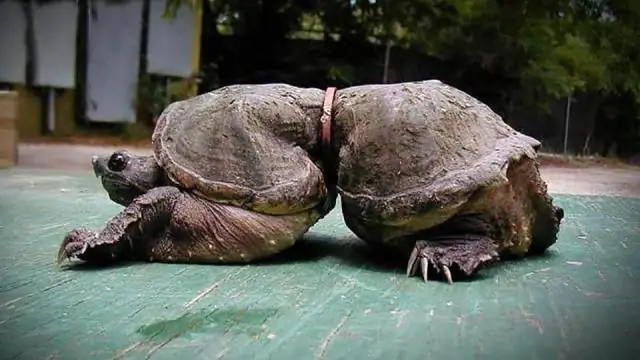 Загрязнение нефтеносных песков Атабаски влияет на погодные процессы: вокруг наноразмерных частиц металлических загрязнителей быстро и легко образуются капли дождя и лед