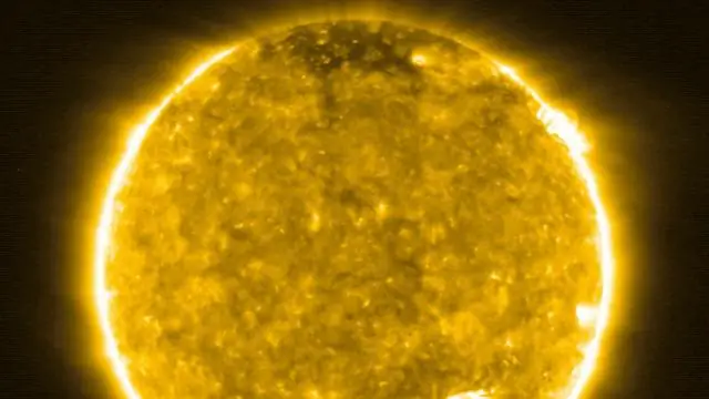 Раскрытие секретов расселения барсуков для сведения к минимуму распространения бычьего туберкулеза