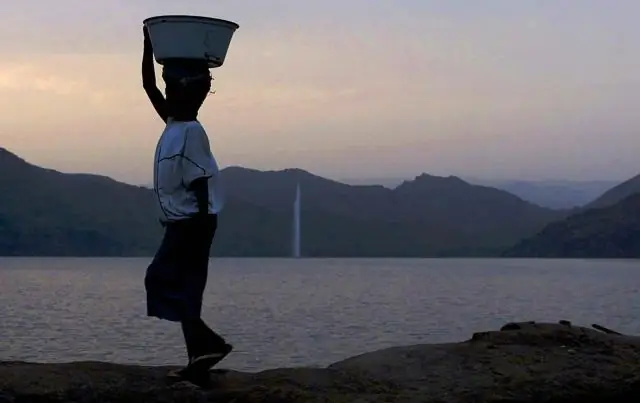 Застряв в воде, пчелы создают волну и плавают по ней на подводных крыльях