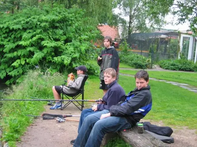 Лидерство у крошечных рыбок в крови