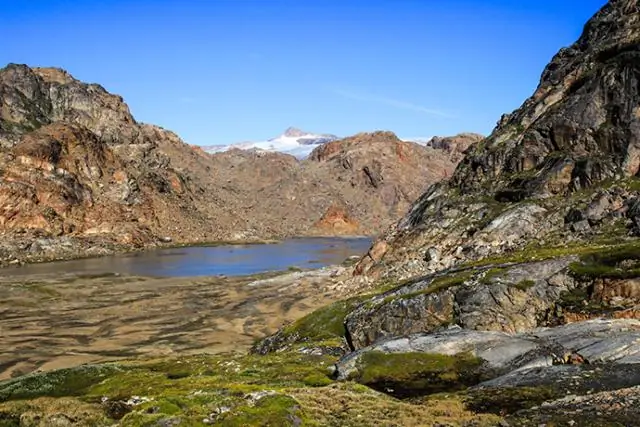 Тающий лед подвергает опасности оленеводов