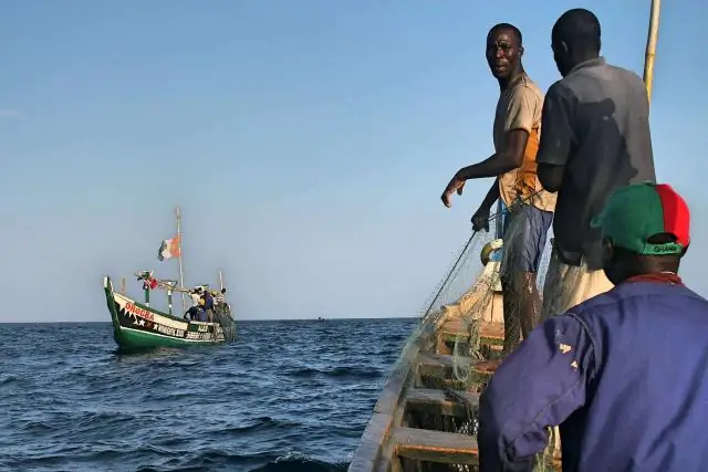 Как бороться с незаконными плантациями какао в Кот-д'Ивуаре: исследование показывает, что регулярное пешее патрулирование снижает незаконную деятельность