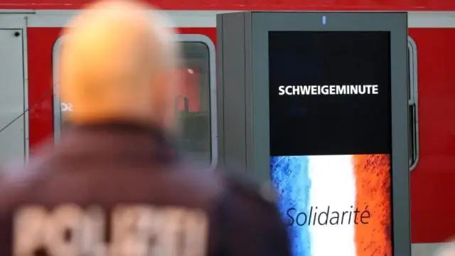 Сооружения вблизи аэропортов повышают риск столкновений самолетов с гусями