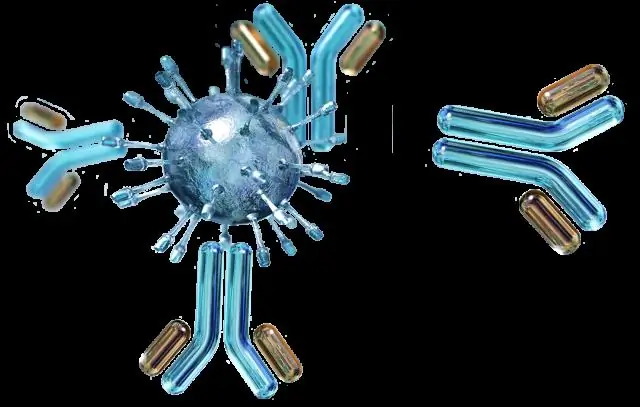 Водные микроорганизмы открывают важное окно в историю жизни