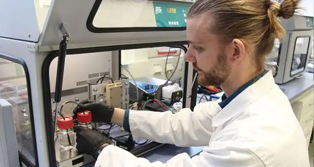 Ученые разрабатывают электрохимическую платформу для бесклеточной синтетической биологии