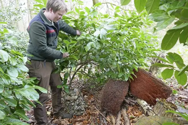 Исследование воздействия засухи выявило новые проблемы для растений и углекислого газа: компьютерные модели нескольких систем Земли оценили потенциальные уровни засухи