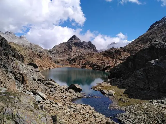 Однажды в борьбе с вирусами появляются скрытые клеточные структуры