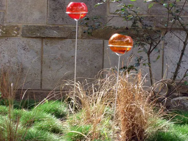 Древесные растения с нежелательными тенденциями: какие из них ведут себя как сорняки