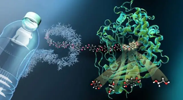 Разгадка тайны окаменелостей может помочь в поисках древней жизни на Марсе