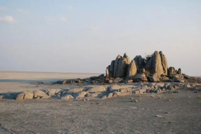 Бусины из страусиной яичной скорлупы рассказывают о 10 000-летнем культурном взаимодействии в Африке