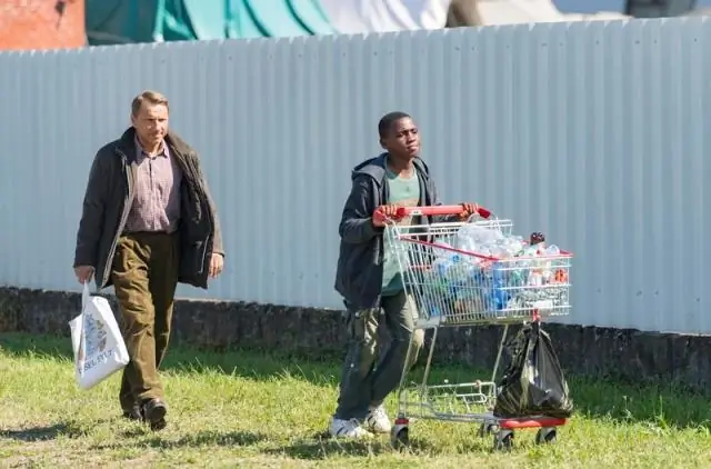 Проницательные виды саванн выбирают друзей с преимуществами на африканских равнинах