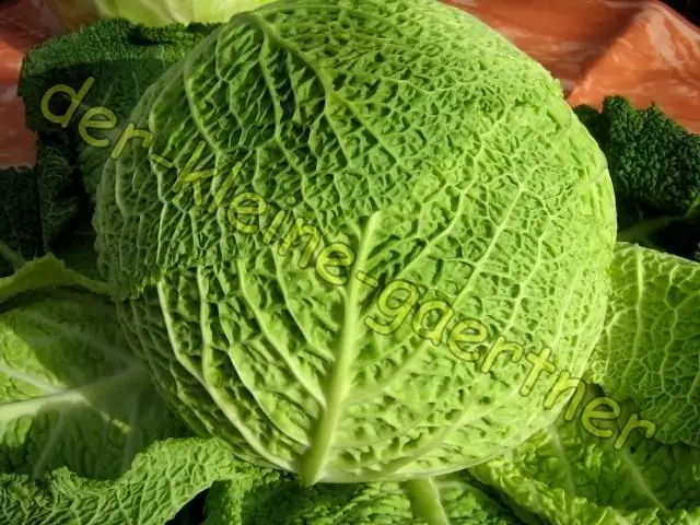 Подводные телекоммуникационные кабели создают превосходную сейсмическую сеть: испытания в заливе Монтерей показали, что подводные волоконно-оптические кабели могут обнаруживать землетрясения и системы