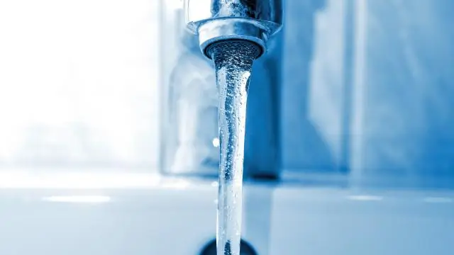 Китобойный промысел и изменение климата привели к 100-летнему пиршеству или голоду для антарктических пингвинов