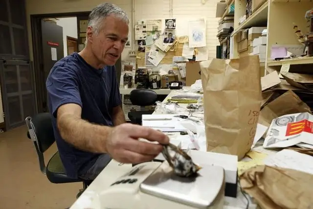 По мере потепления климата количество перелетных птиц сокращается, показывает новый анализ рекордов за четыре десятилетия