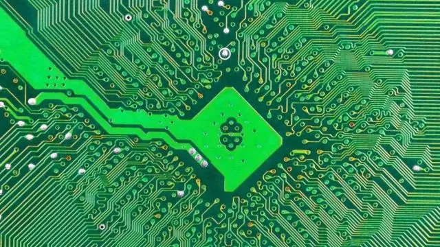 Ученые создали «эпигенетическую домоседку»