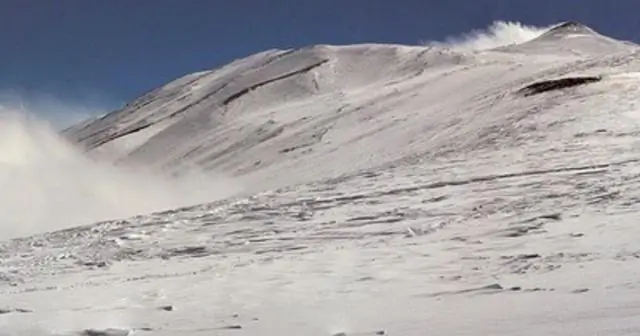 Потепление повысит содержание мышьяка в рисе