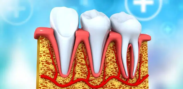 Подробный анализ стрессовых клеток: исследователи разрабатывают новую процедуру протоэмики