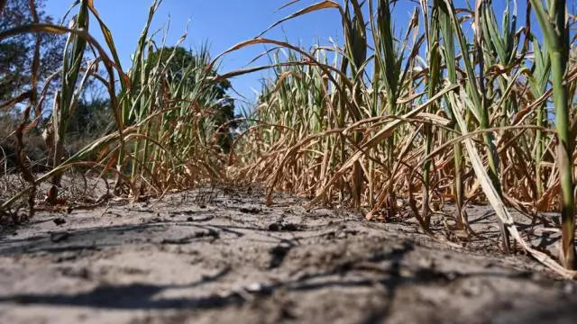 Может ли «управление льдом» в Арктике бороться с изменением климата? Радикальная геоинженерная концепция потенциально может замедлить отступление морского льда, но не глобальное потепление