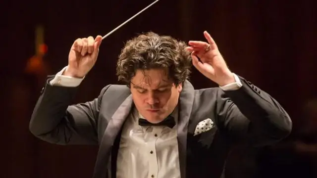 Ген «проводник» обнаружен в «оркестре» стволовых клеток корней растений