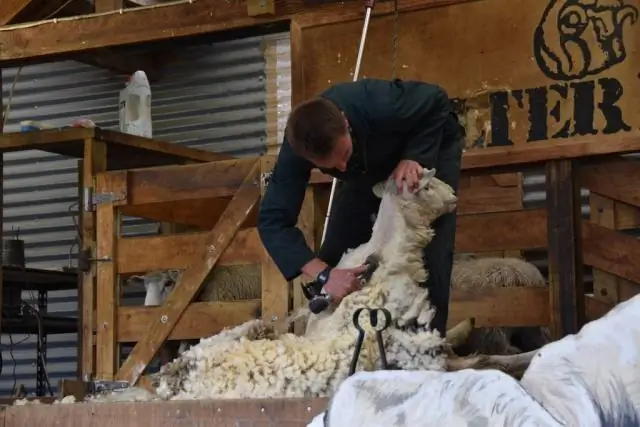 Мегазасухи вызвали активность перуанских облачных лесов: образцы отложений показывают возможность восстановления после некоторого ущерба экосистеме