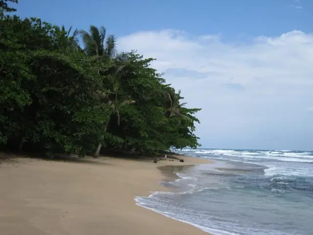 Природные экосистемы защищают от изменения климата: поглотители углерода и землепользование в лагуне, окаймленной мангровыми зарослями, на Яве