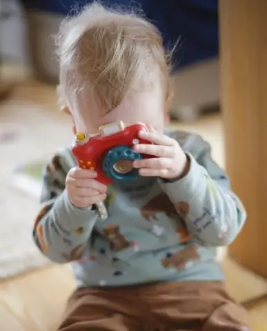 Одноклеточный анализ самых ранних решений о судьбе клеток в процессе развития: мультиомный анализ процесса установления плана тела млекопитающих