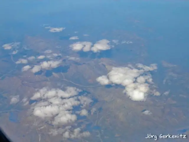 Канадская тундра, ранее покрытая густым лесом: летопись окаменелостей древних растений показывает