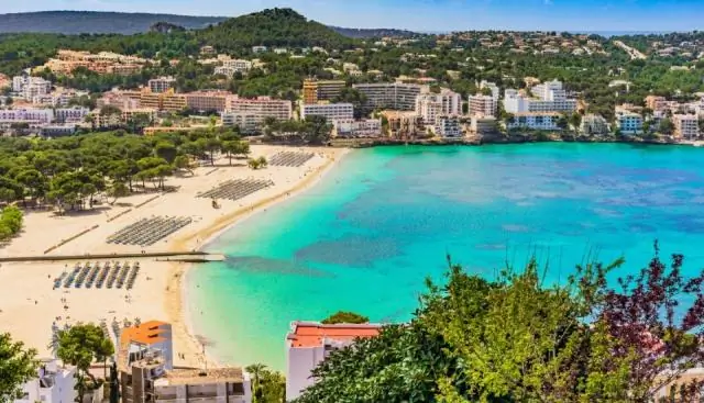 Восстановление популяции лесной куницы в Северной Ирландии приносит пользу рыжим белкам: но городская рыжая белка создает проблему