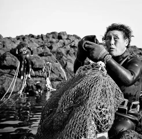 Шум от забивания свай под водой вызывает у кальмаров тревожные реакции