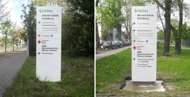 Древние события все еще влияют на млекопитающих во всем мире: исследователи сегодня находят следы глубокого прошлого в моделях биоразнообразия