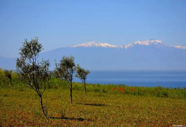 Учитывать морскую жизнь при внедрении морских возобновляемых источников энергии