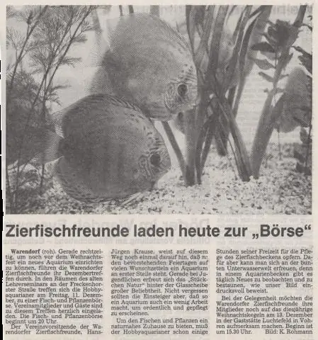 Опреснительная установка в Австралии привлекает рыбу