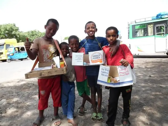 Окаменелости будущего будут в основном состоять из людей и домашних животных