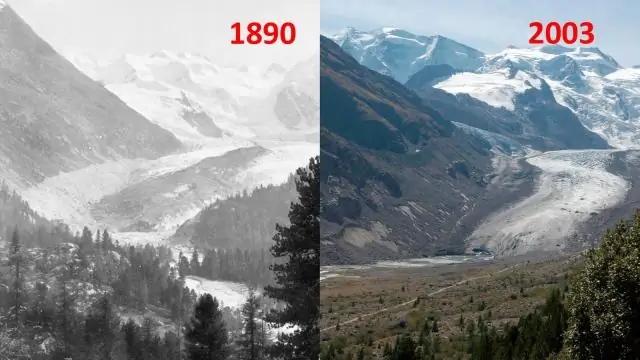 Сравнение влияния традиционной и современной пшеницы на здоровье кишечника