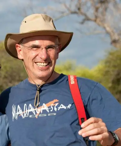 Жизнь в паре как ступенька от уединенной жизни к сложному обществу