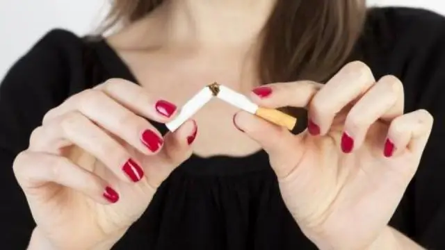 Ученые нашли способ увеличить производство белка: Открытие обещает помочь в производстве лекарств на основе белка, вакцин и других биоматериалов