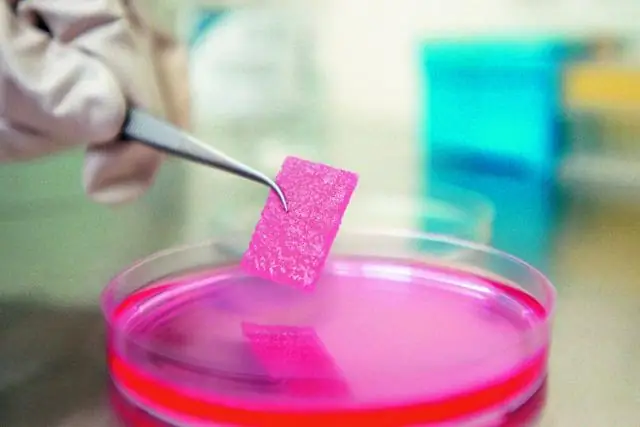 Мембрана, вдохновленная костями и хрящами, эффективно вырабатывает электричество из соленой воды