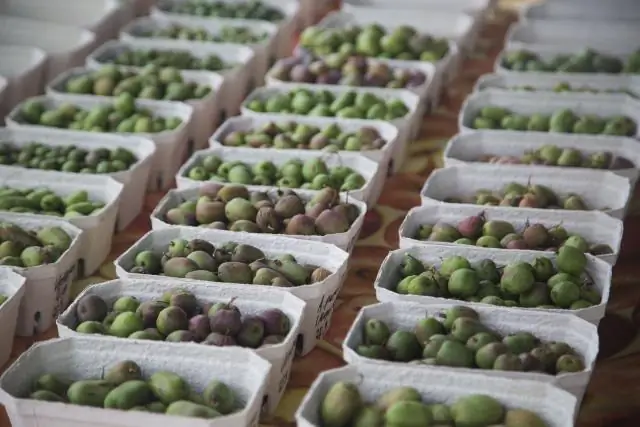 Звездный фрукт может стать новой «звездой» сельского хозяйства Флориды