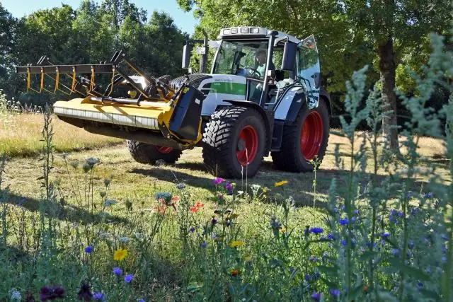 Кошение городских газонов менее интенсивно увеличивает биоразнообразие, экономит деньги и уменьшает количество вредителей