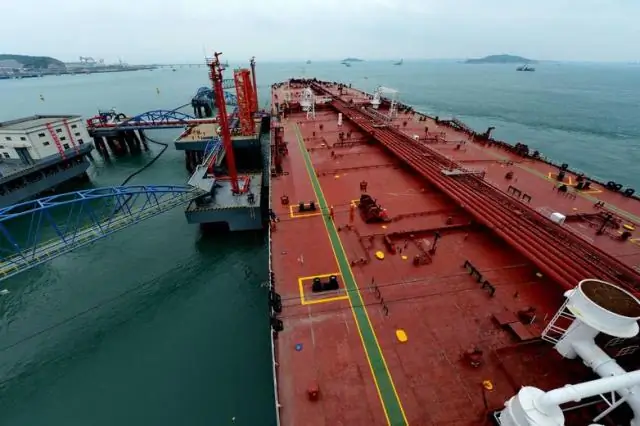 Лес Амазонки отрастает гораздо медленнее, чем считалось ранее