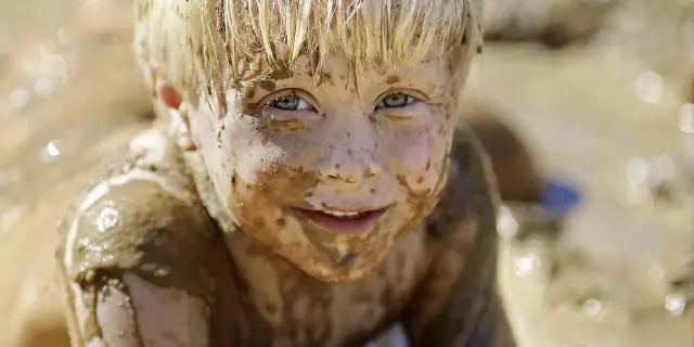 Как микробы отражают здоровье коралловых рифов: сравнение охраняемых и затронутых рифов на Кубе и Флорида-Кис